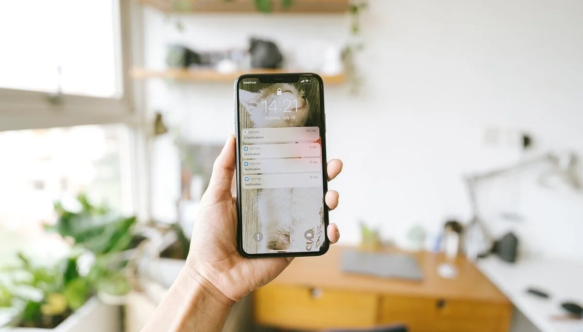 © Bild von Tran Mau Tri Tam auf Pixabay © Bild von Tran Mau Tri Tam auf Pixabay