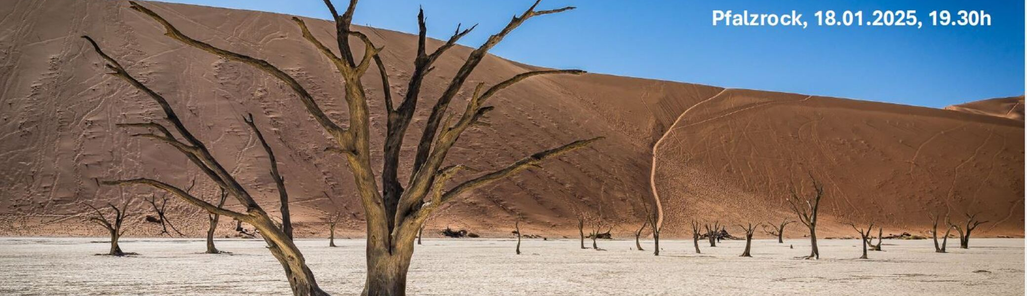 © Frank Schieweck