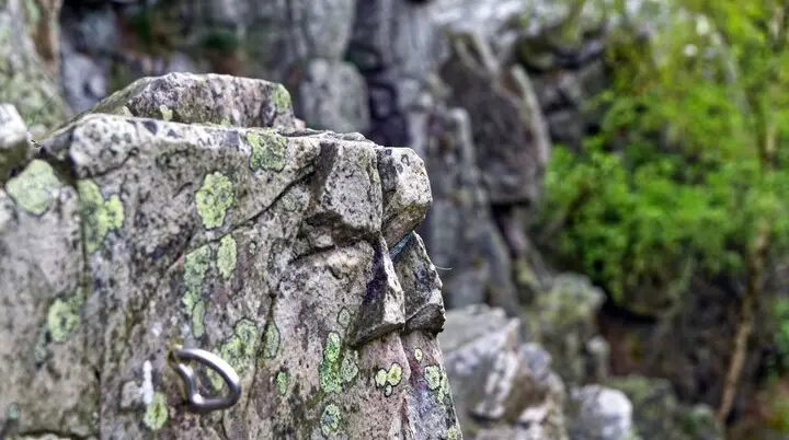 © Sektion Frankenthal