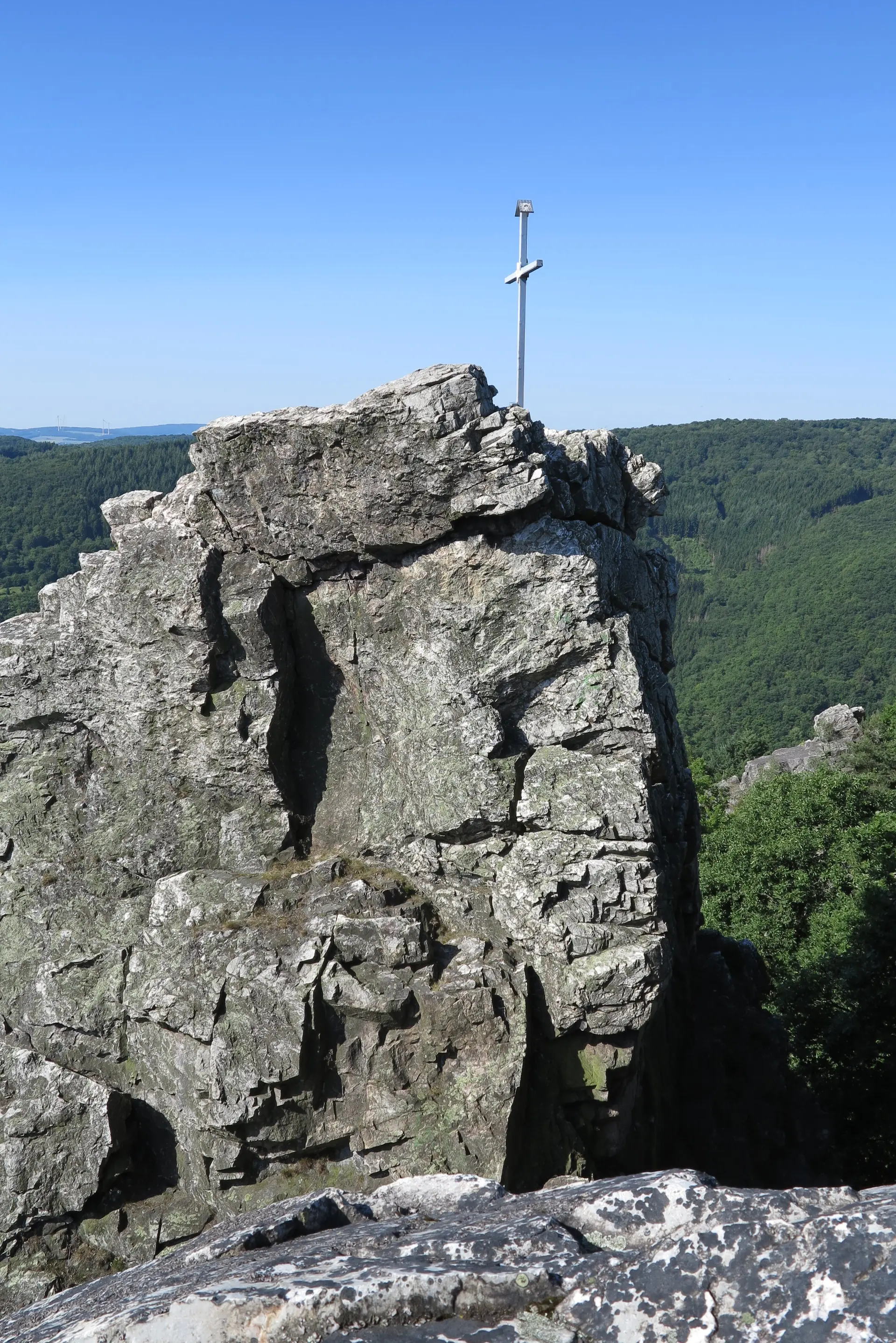 © Sektion Frankenthal