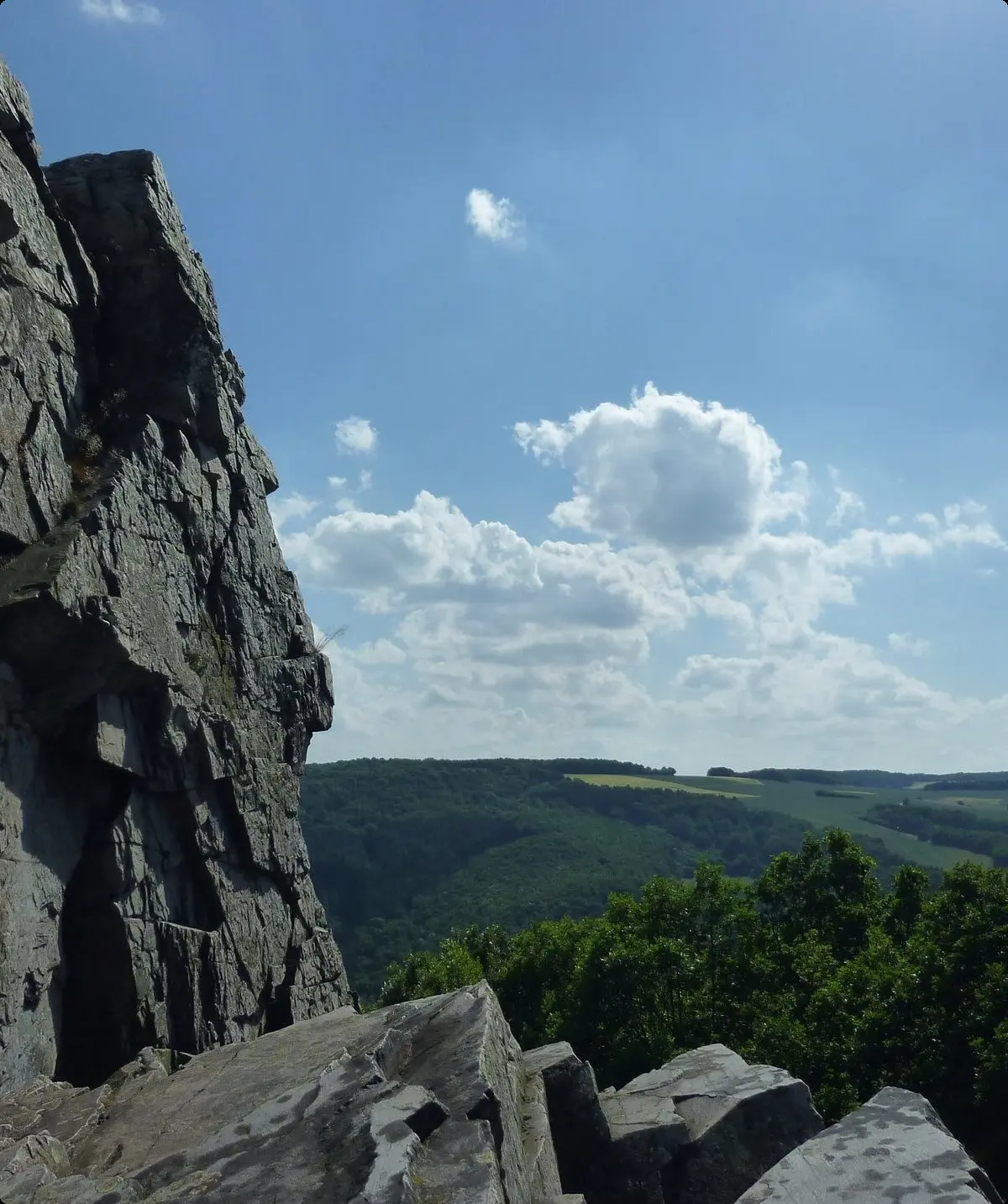 © Sektion Frankenthal