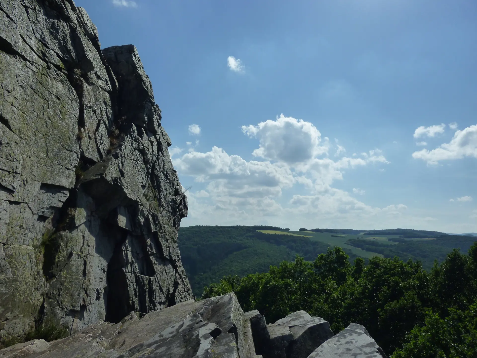 © Sektion Frankenthal