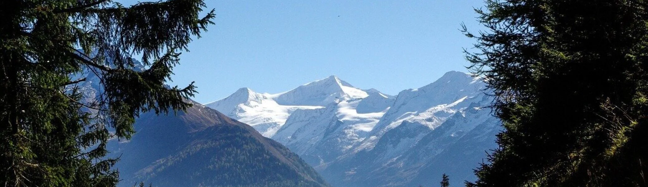 © Bild von Elisabeth Guggenberger auf Pixabay