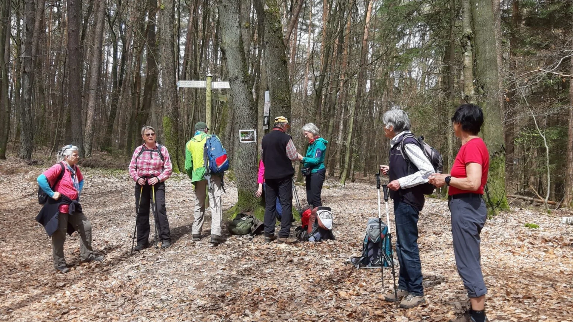 © Robert Lingenauber