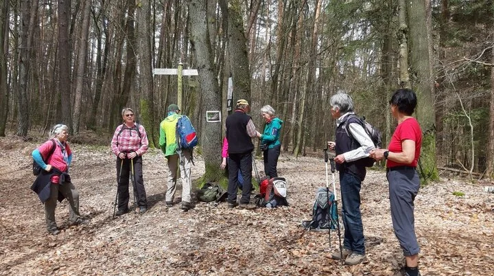 © Robert Lingenauber