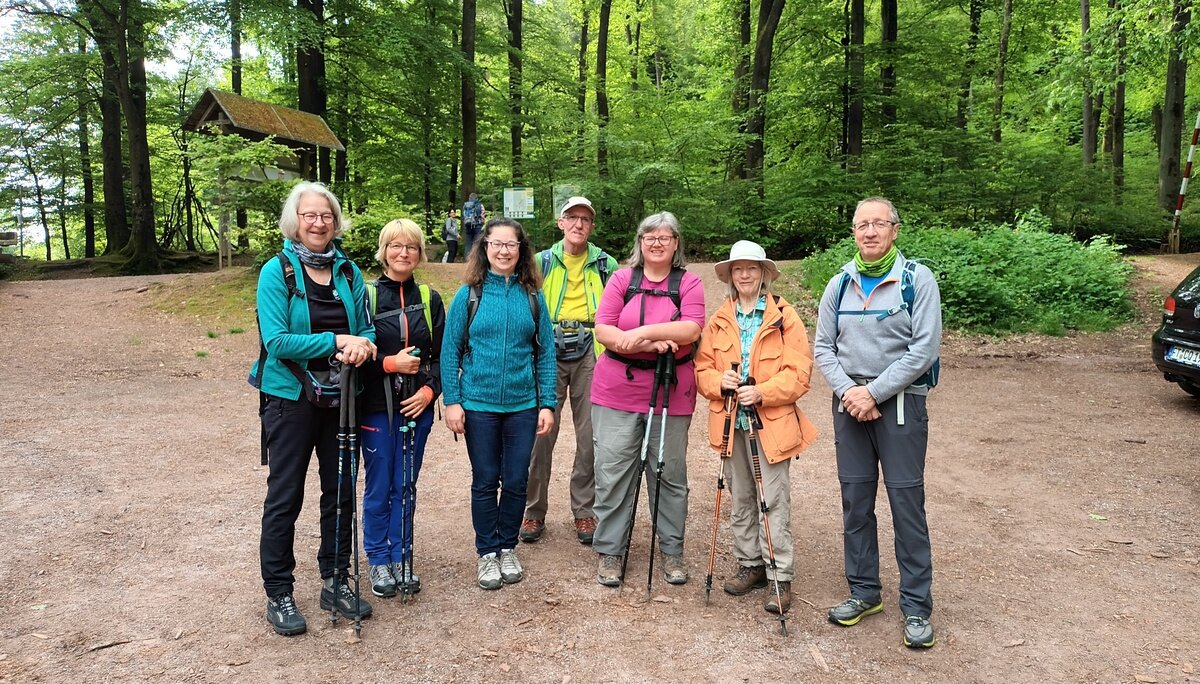 drei Buchen | © Helia Kerutt drei Buchen | © Helia Kerutt