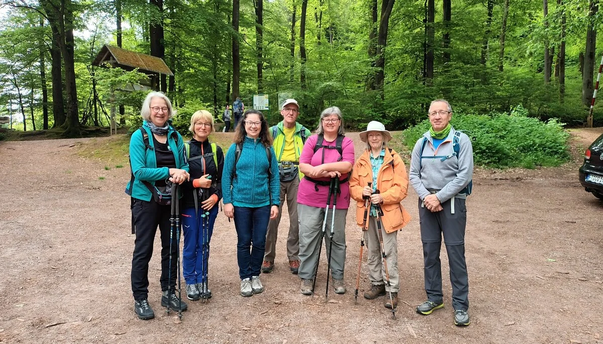 drei Buchen | © Helia Kerutt