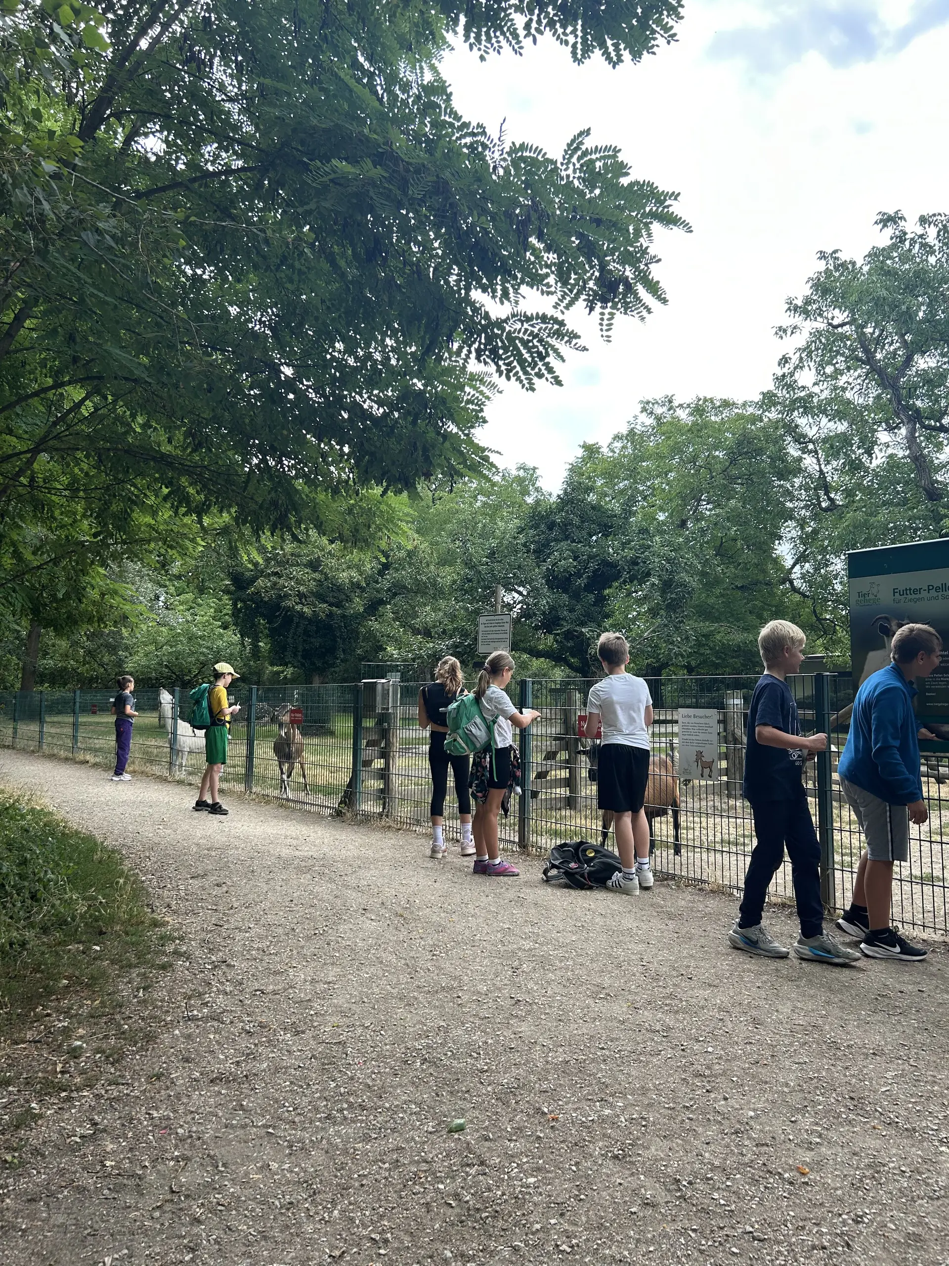 besuch im tiergehege | © leonie hoffmann