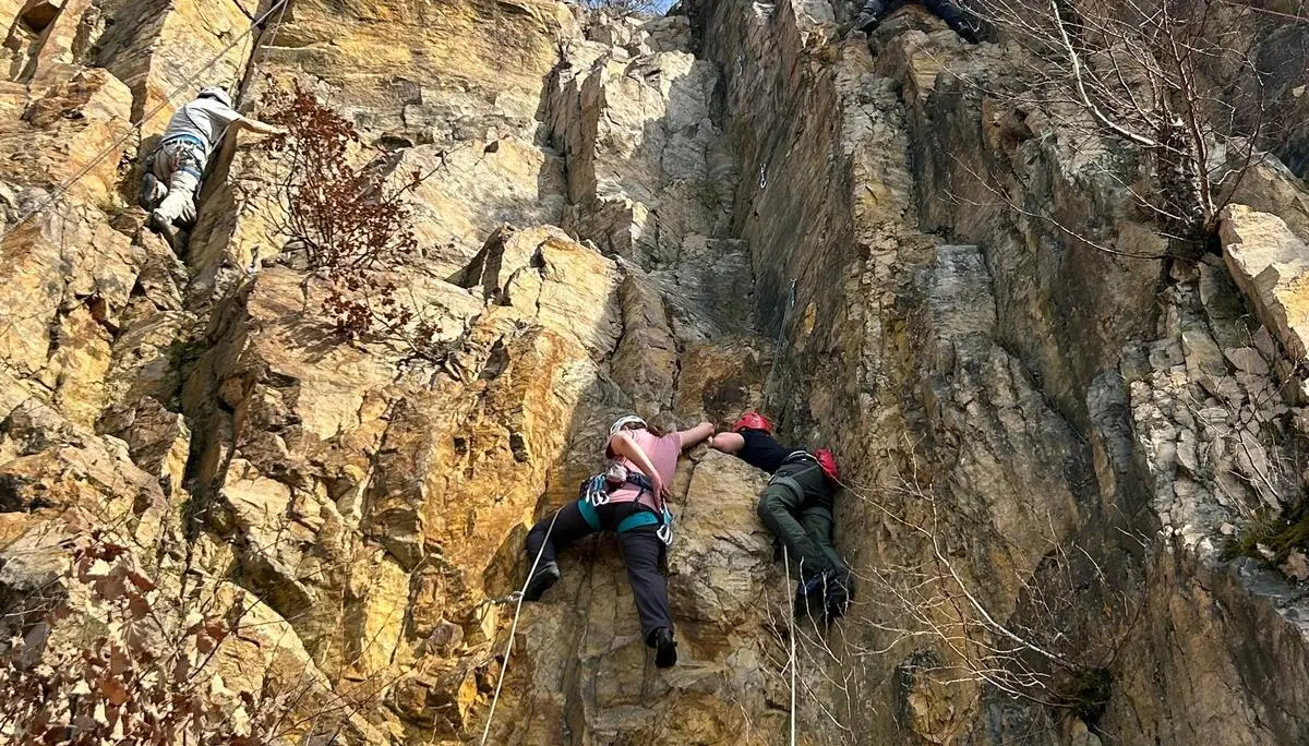 gruppe beim felsklettern | © leonie hoffmann