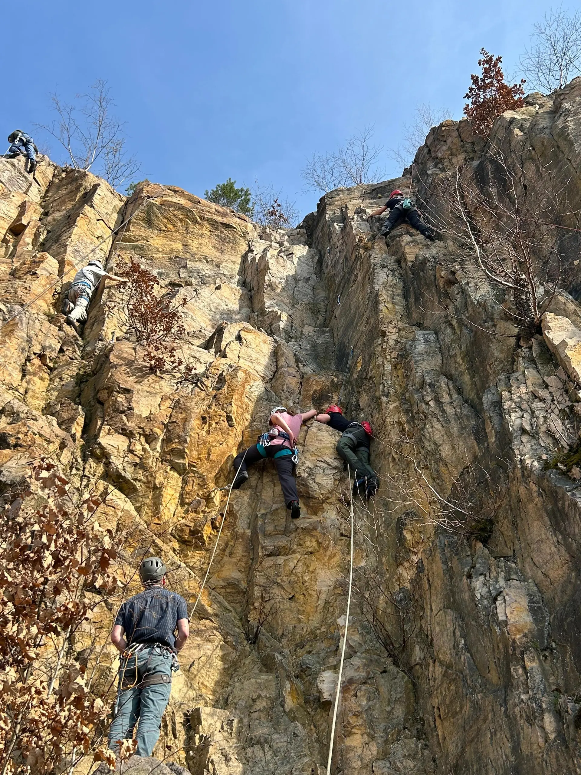 gruppe beim felsklettern | © leonie hoffmann