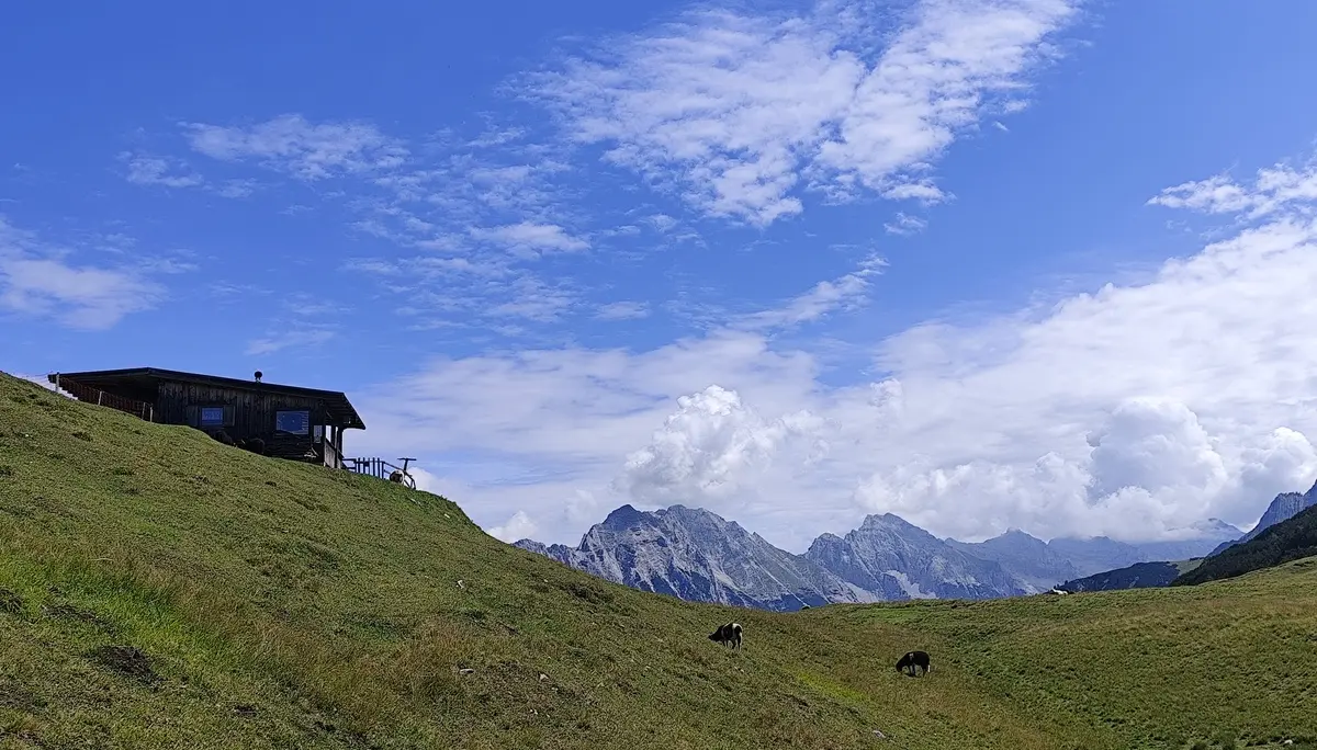 alpen | © david wahl