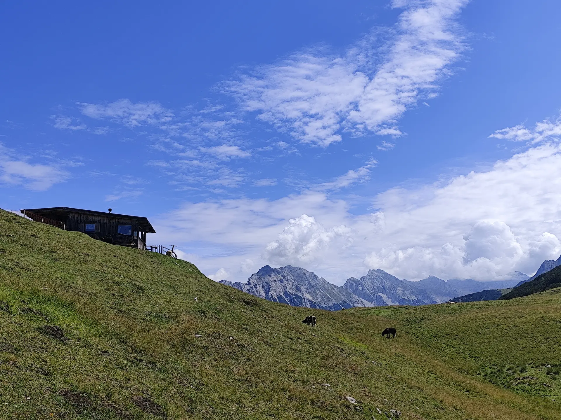 alpen | © david wahl
