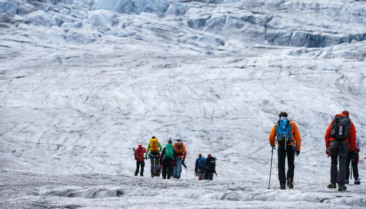 Eine Hochtourengruppe wandert über das Eisfeld über den Gepatschferner zur Rauhekopfhütte. | © DAV/Marco Kost