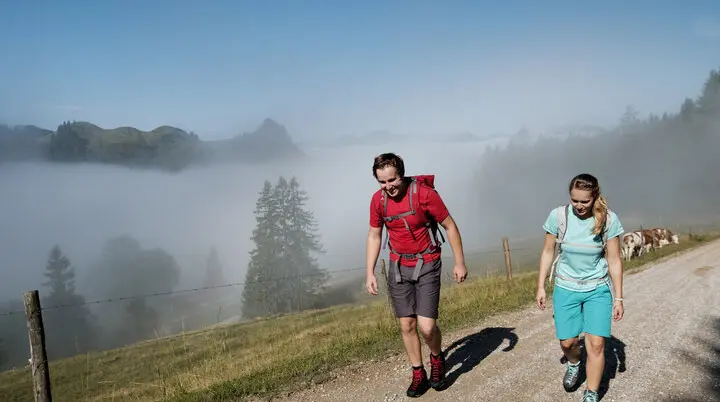 Zwei Personen wandern im Chiemgau. | © DAV/Hans Herbig